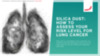Silica dust and lung cancer risk {{industries_building-supplies}} 