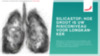 silicastof-how-groot-is-uw-risiconiveau-voor-longkanker.pdf Silicastof: How groot is uw risiconiveau voor longkanker? {{industries_building-supplies}} 